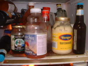 Fridge_2.JPG